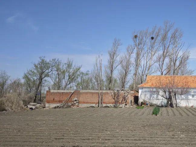 kaiyun官方-农家小院：宁静中的生机与诗意