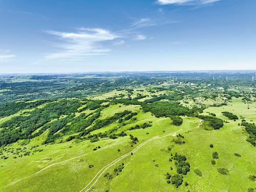 kaiyun官方-股份制造林激发山场活力