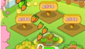 开云官方-我的农家院